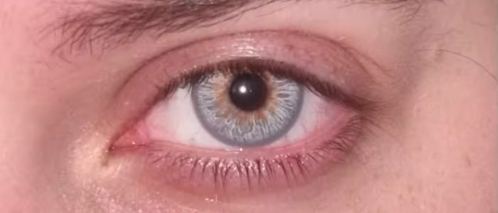 Same shade ha, mjy bohat pasand aya. Thank you soo much🥰🥰